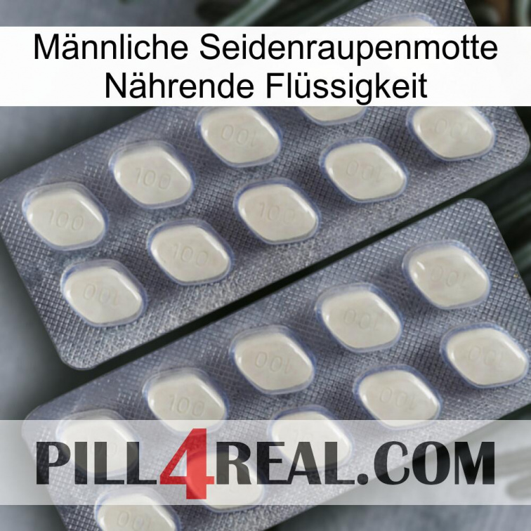 Männliche Seidenraupenmotte Nährende Flüssigkeit 07